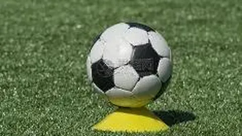 北京：篮球足球等团体对抗运动项目暂停进行